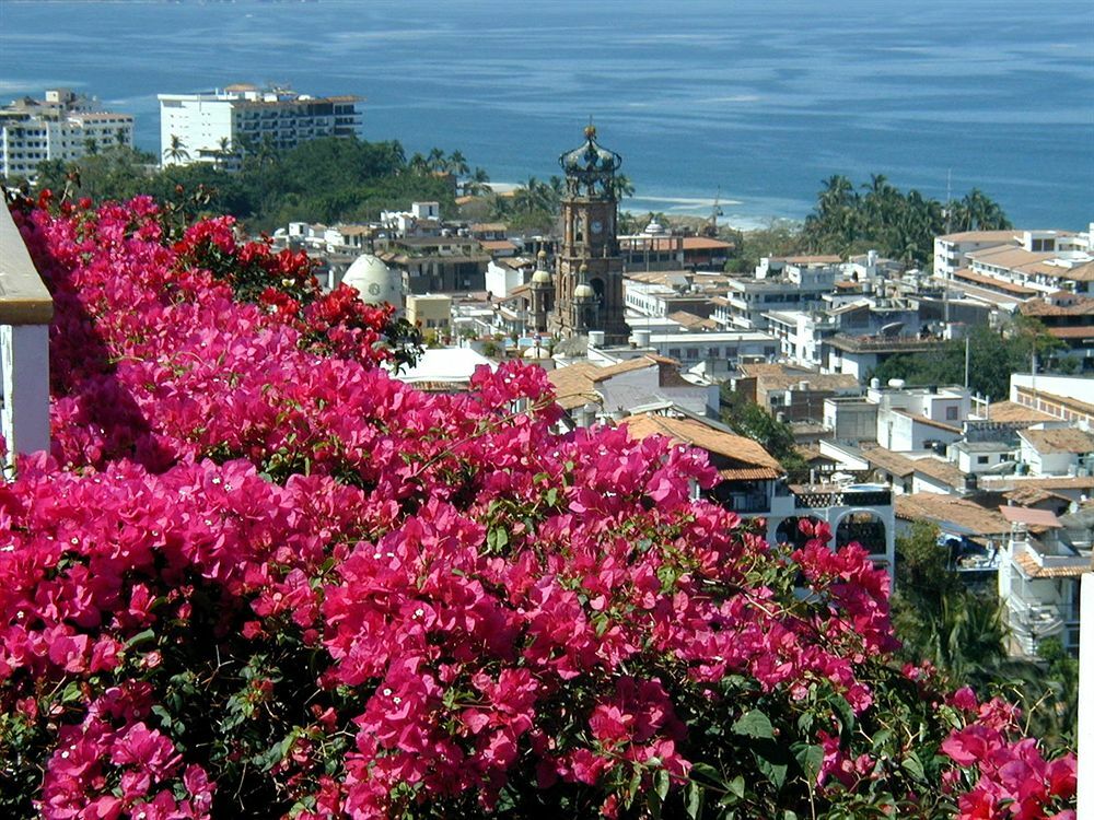 Hotel Suites La Siesta Puerto Vallarta Bagian luar foto