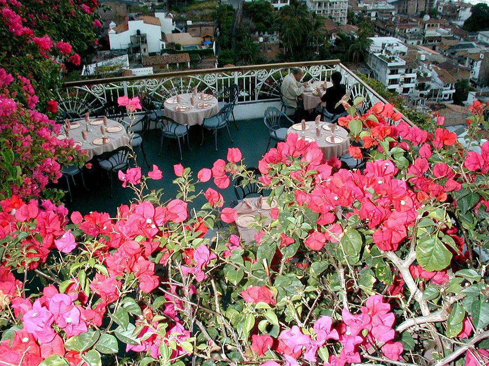 Hotel Suites La Siesta Puerto Vallarta Bagian luar foto